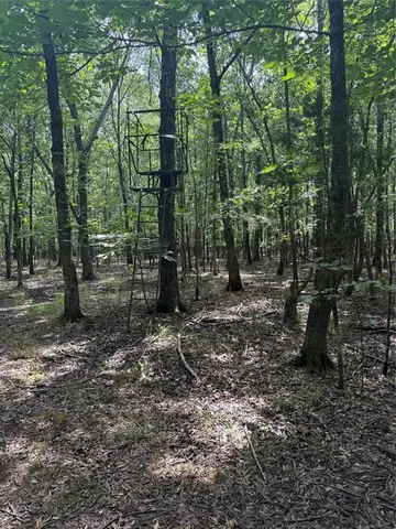 a view of outdoor space with trees