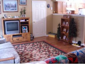 208 Springview Drive Gray, TN 37615 - Photo 8 of 8 Photo 8