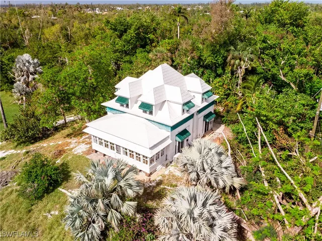 a picture of a tree with a garden