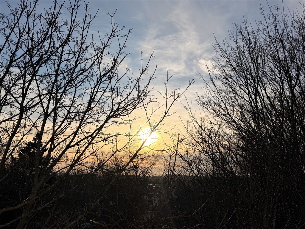 96 Burpee Road, Unit 1 Swampscott, MA 01907 - Photo 15 of 17 a view of mountain view with trees
