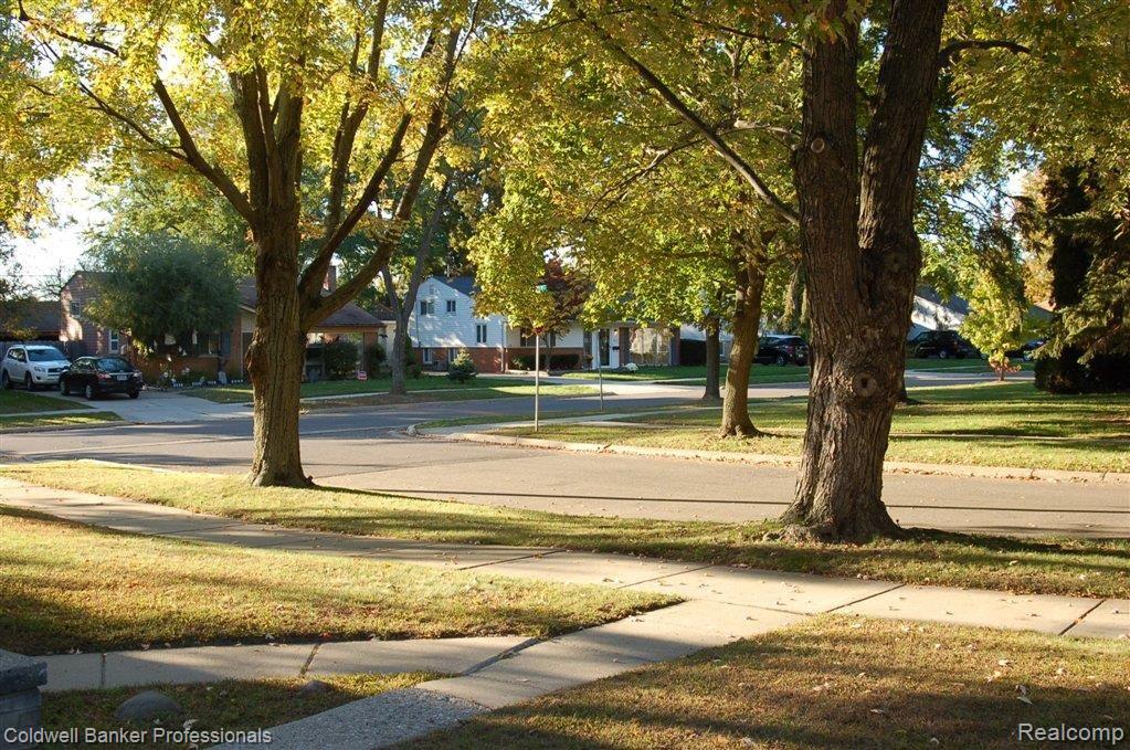 1206 Maple Drive Rochester, MI 48307 - Photo 17 of 17 Beautiful Street w/ Mature Trees