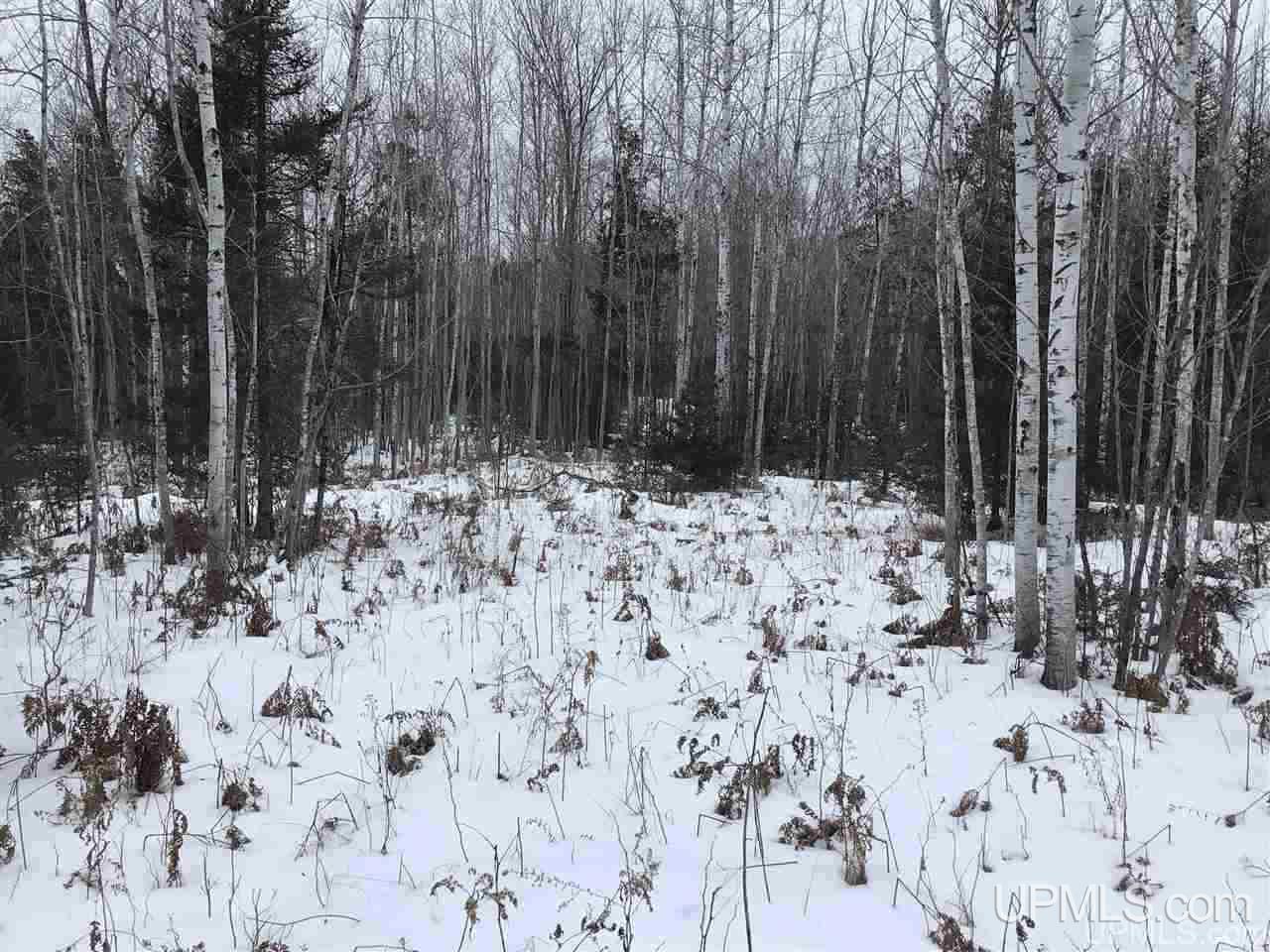 Tbd Swamp Road Powers, MI 49874 - Photo 2 of 30