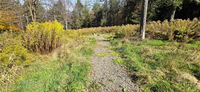 $75,000 | 321 Wood Road, Harpersfield, NY 12093