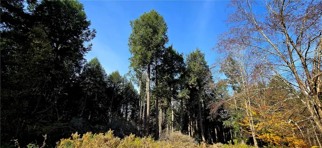 $75,000 | 321 Wood Road, Harpersfield, NY 12093