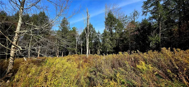 $75,000 | 321 Wood Road, Harpersfield, NY 12093