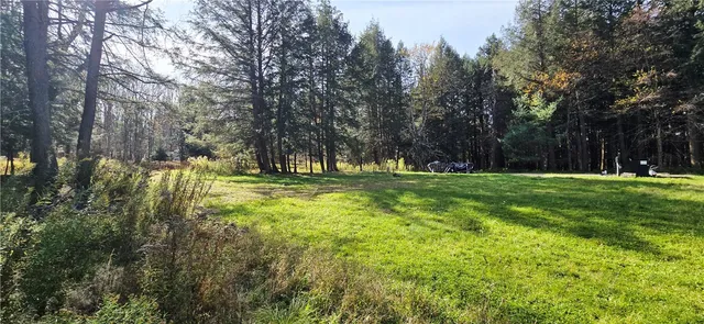 $75,000 | 321 Wood Road, Harpersfield, NY 12093