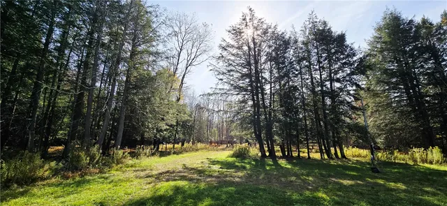 $75,000 | 321 Wood Road, Harpersfield, NY 12093