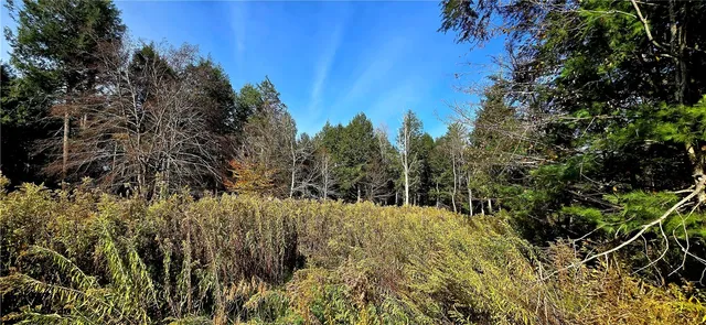 $75,000 | 321 Wood Road, Harpersfield, NY 12093