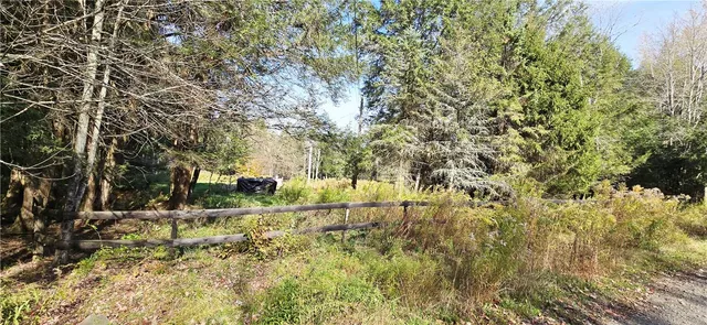 $75,000 | 321 Wood Road, Harpersfield, NY 12093