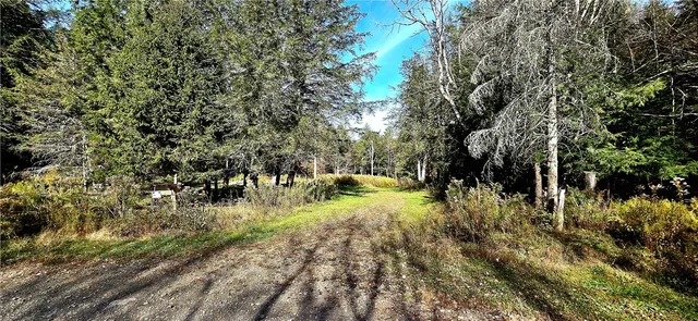 $75,000 | 321 Wood Road, Harpersfield, NY 12093