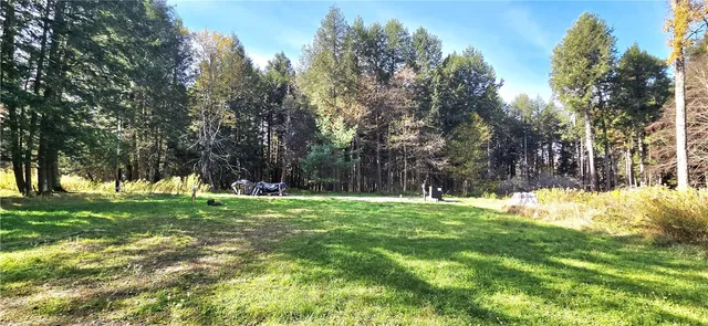 $75,000 | 321 Wood Road, Harpersfield, NY 12093