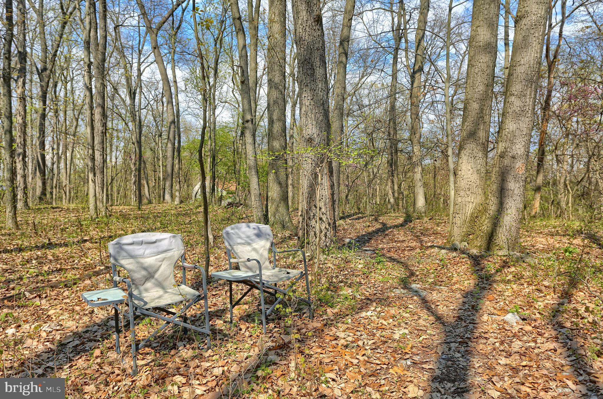703 Ridge Road Lewisberry, PA 17339 - Photo 47 of 50