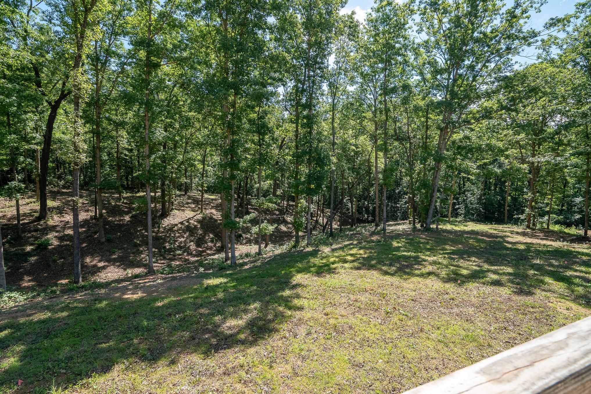 1239 Cherokee Road Waynesboro, TN 38485 - Photo 11 of 36