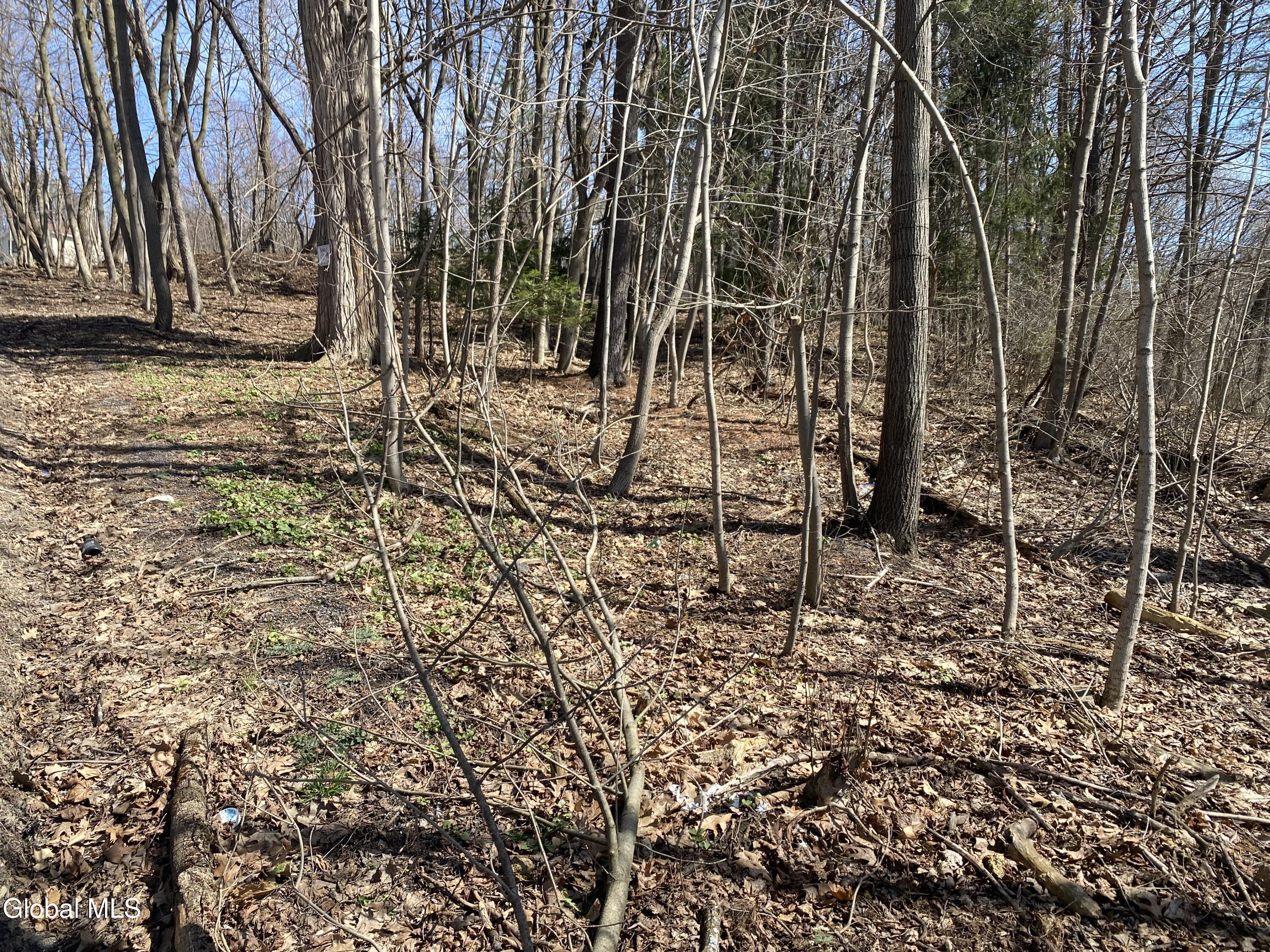 24 Northampton Road Amsterdam, NY 12010 - Photo 25 of 56 IMG_2896