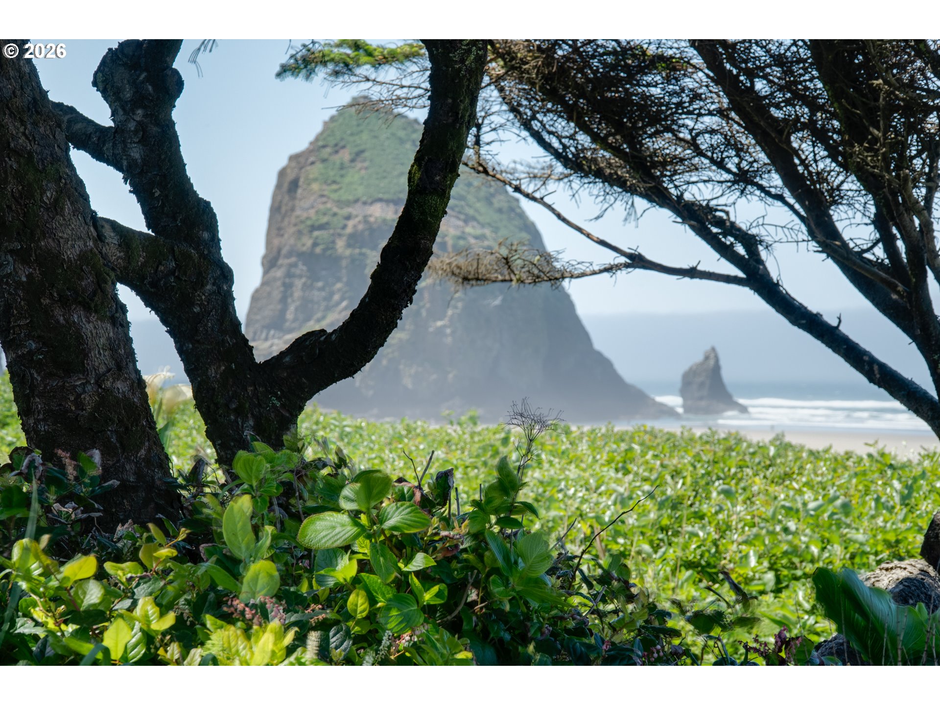 1360 Pacific Street Cannon Beach, OR 97110 - Photo 23 of 48