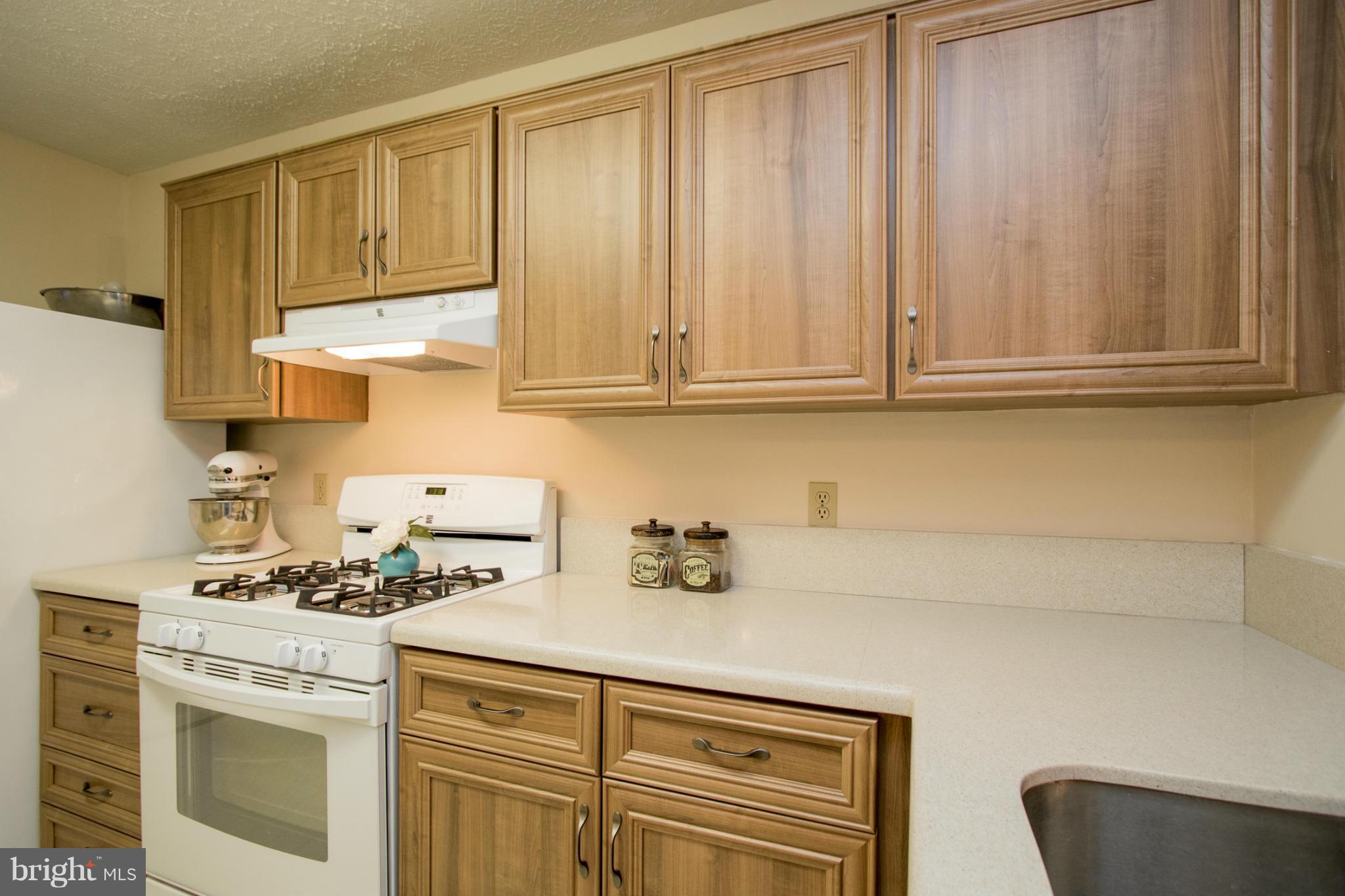 2231 Hunter's Run Drive, Unit 2231 Reston, VA 20191 - Photo 15 of 30 Move in Ready