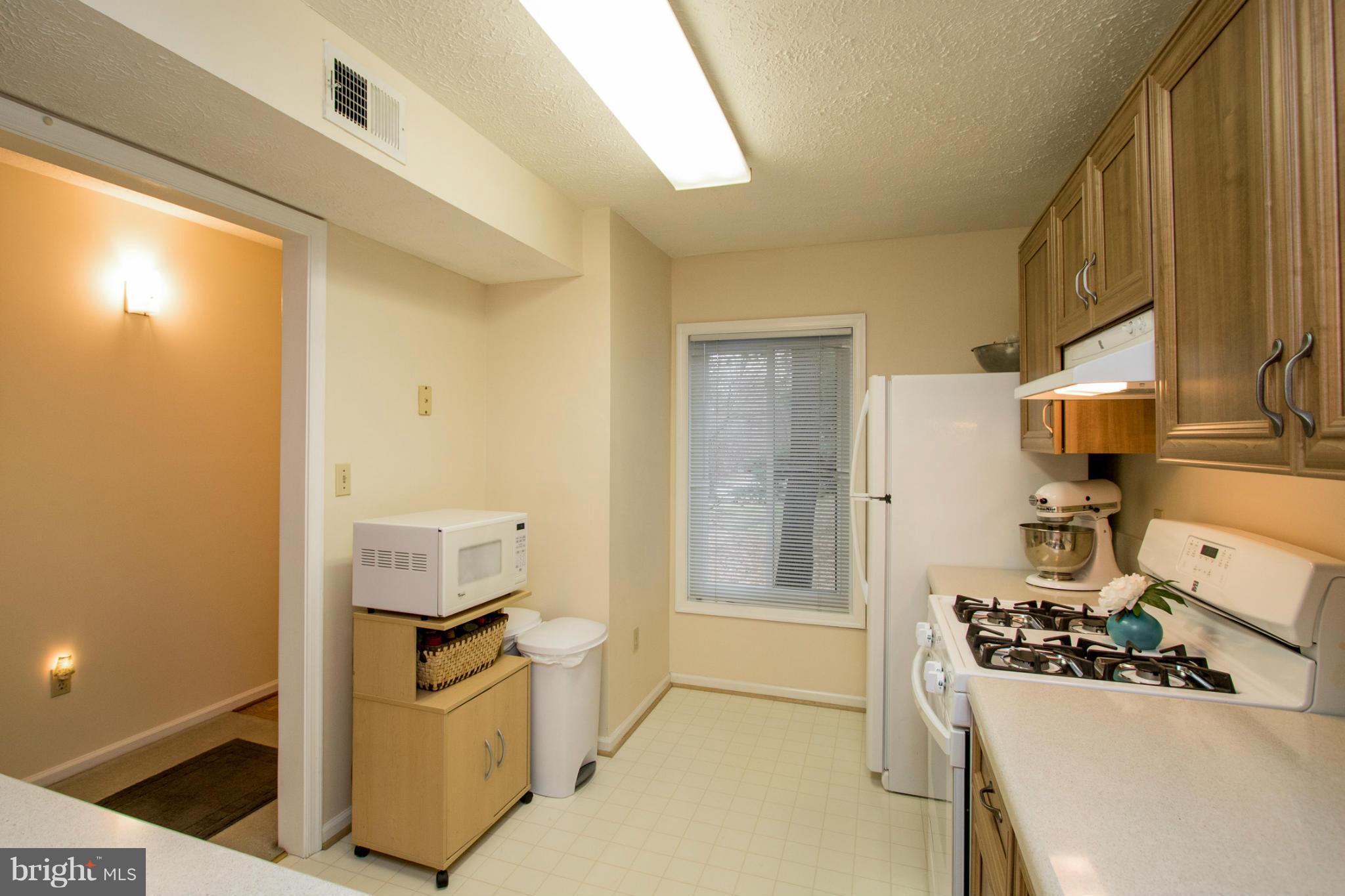 2231 Hunter's Run Drive, Unit 2231 Reston, VA 20191 - Photo 16 of 30 Fresh Paint