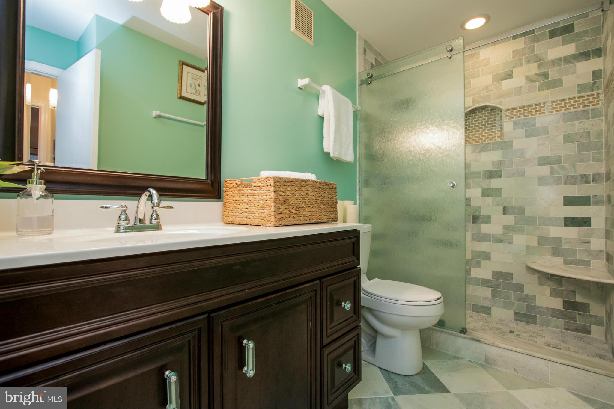 2231 Hunter's Run Drive, Unit 2231 Reston, VA 20191 - Photo 21 of 30 Completely Renovated Custom Tile