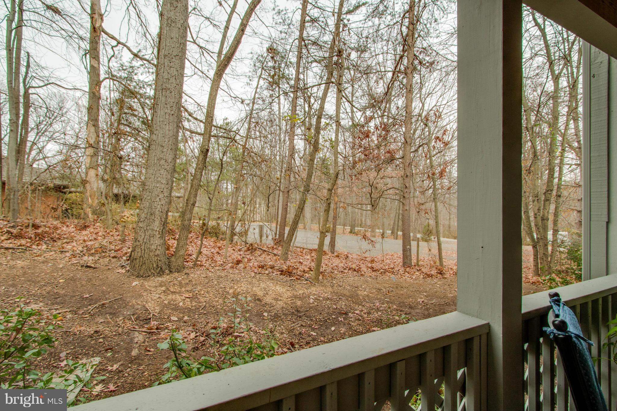 2231 Hunter's Run Drive, Unit 2231 Reston, VA 20191 - Photo 24 of 30 Private View from Balcony