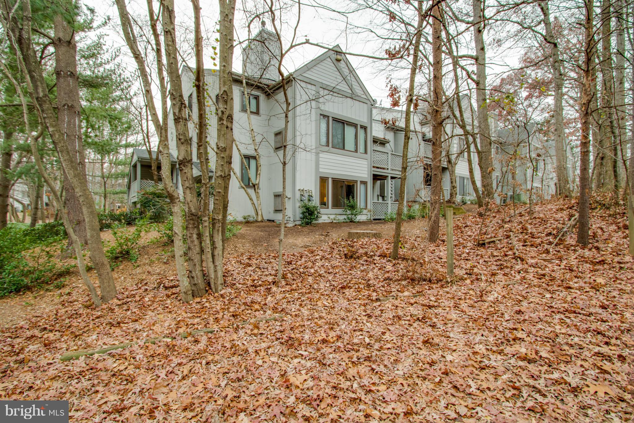 2231 Hunter's Run Drive, Unit 2231 Reston, VA 20191 - Photo 30 of 30 View