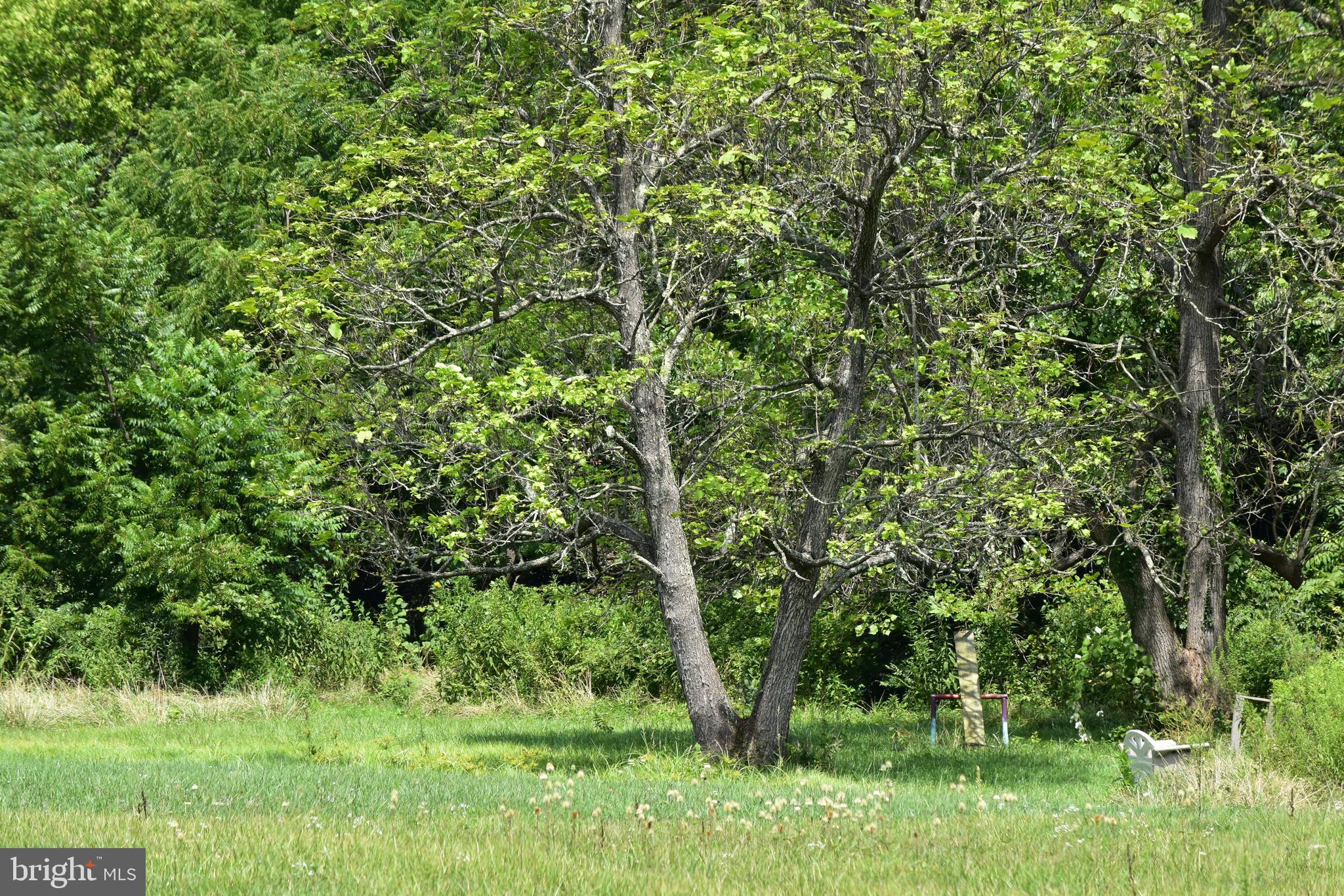 0 Fiery Run Road Linden, VA 22642 - Photo 1 of 3 Lot 32 24