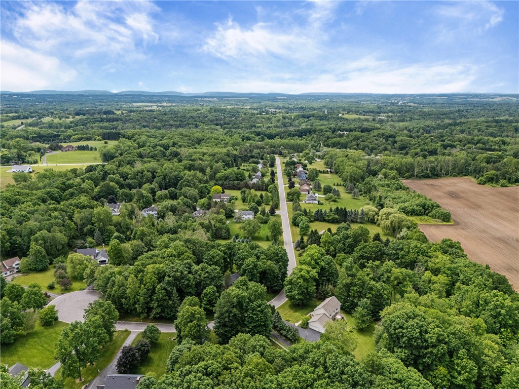 41 Hawks View Mendon, NY 14472 - Photo 44 of 49