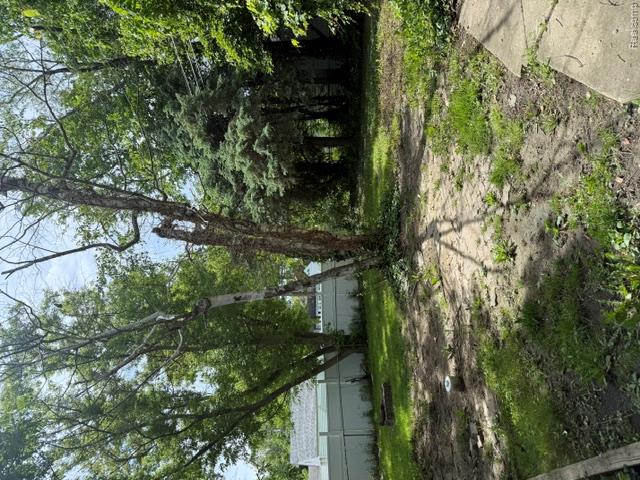 19942 McCormick Street Detroit, MI 48224 - Photo 3 of 12 IMG_4250.jpeg