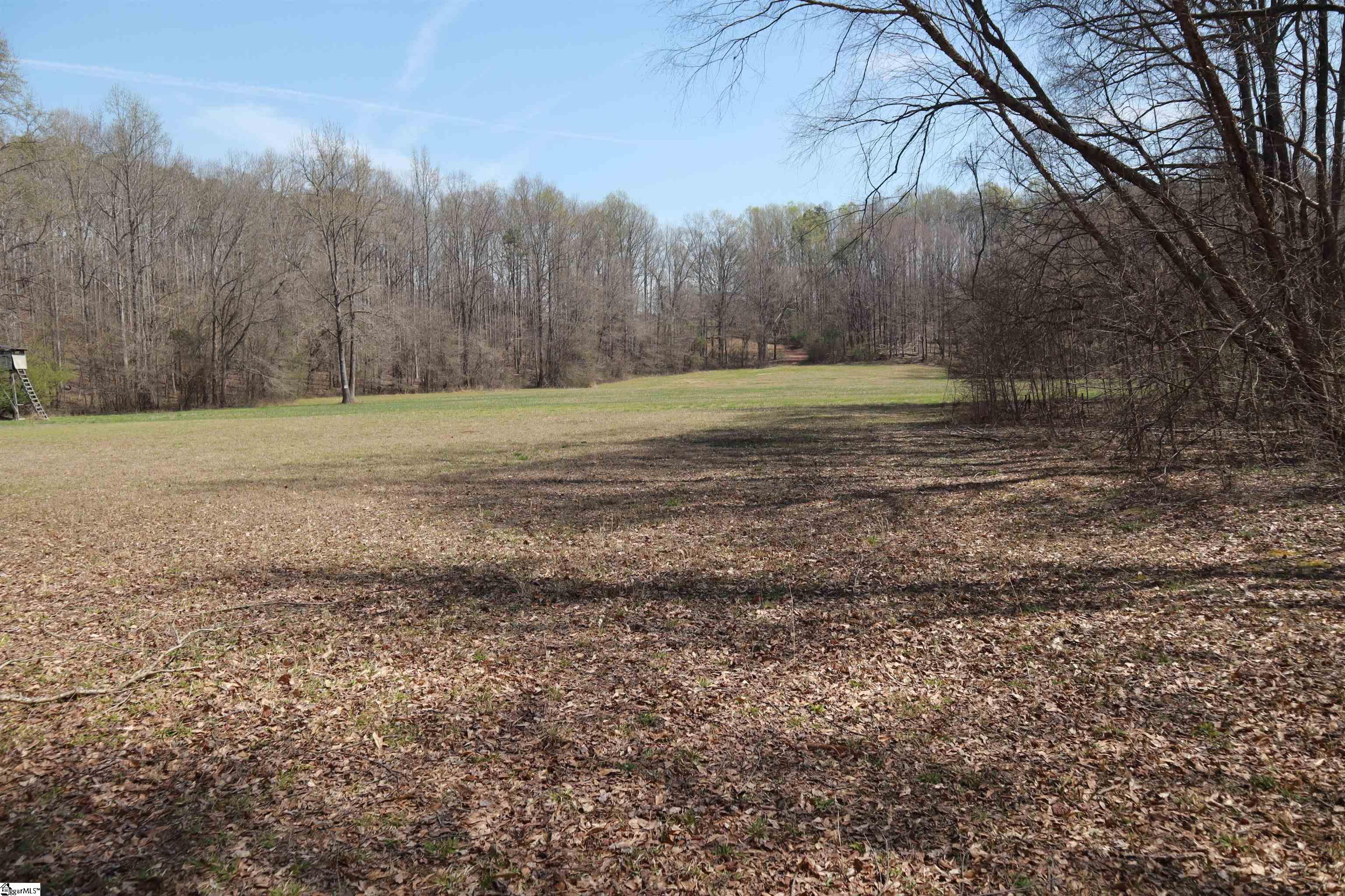 0 Nodine Road Campobello, SC 29322 - Photo 17 of 30