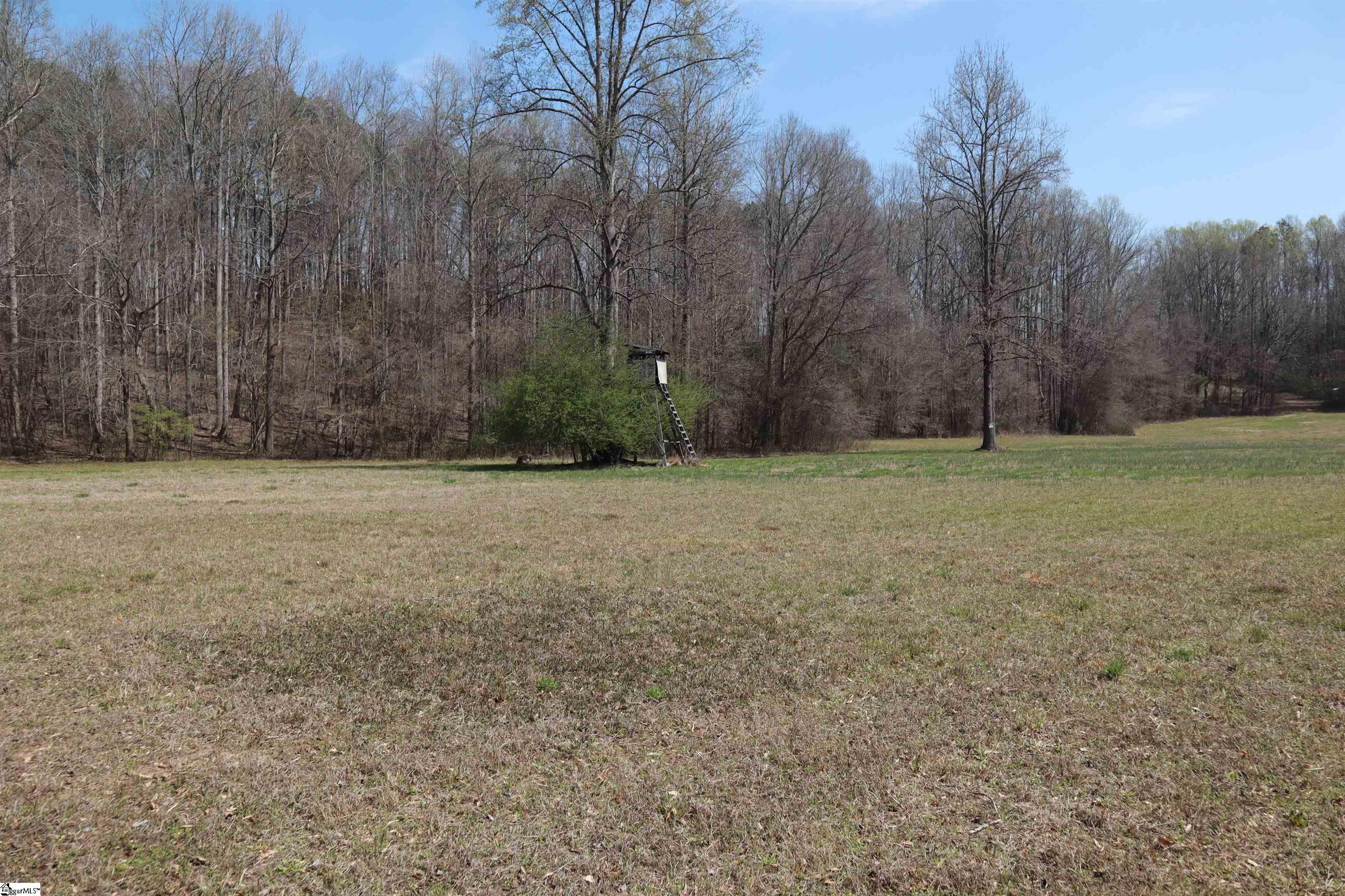 0 Nodine Road Campobello, SC 29322 - Photo 19 of 30