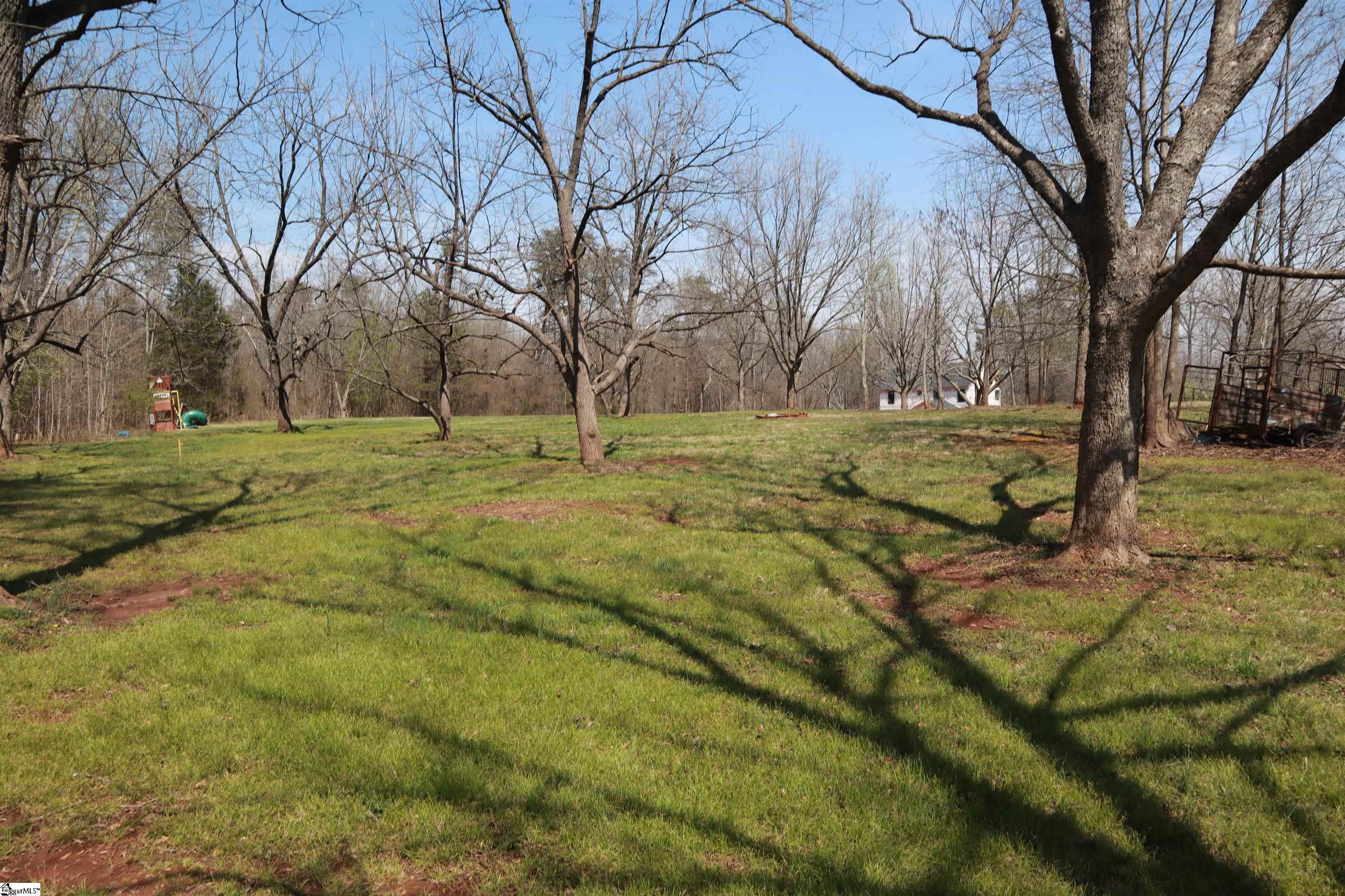 0 Nodine Road Campobello, SC 29322 - Photo 25 of 30