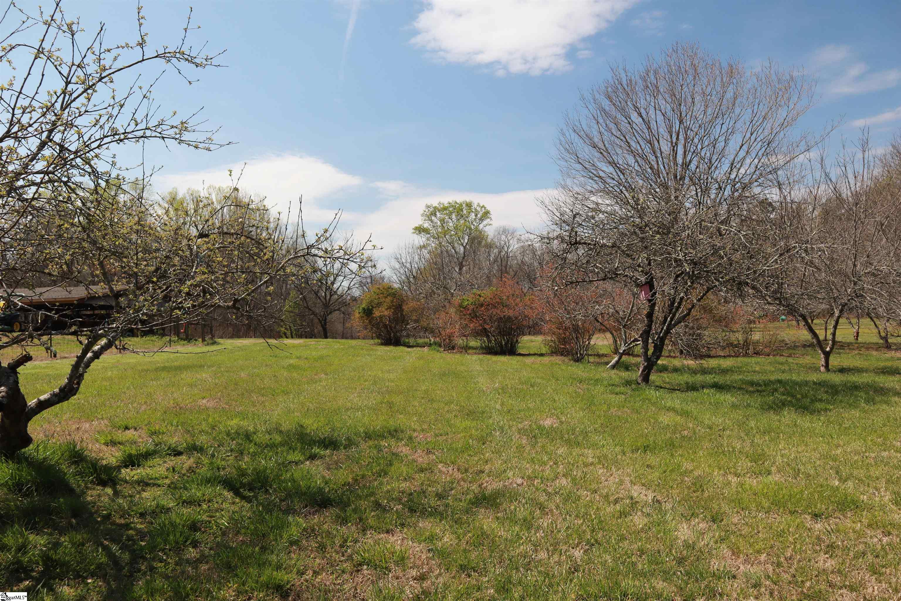 0 Nodine Road Campobello, SC 29322 - Photo 5 of 30
