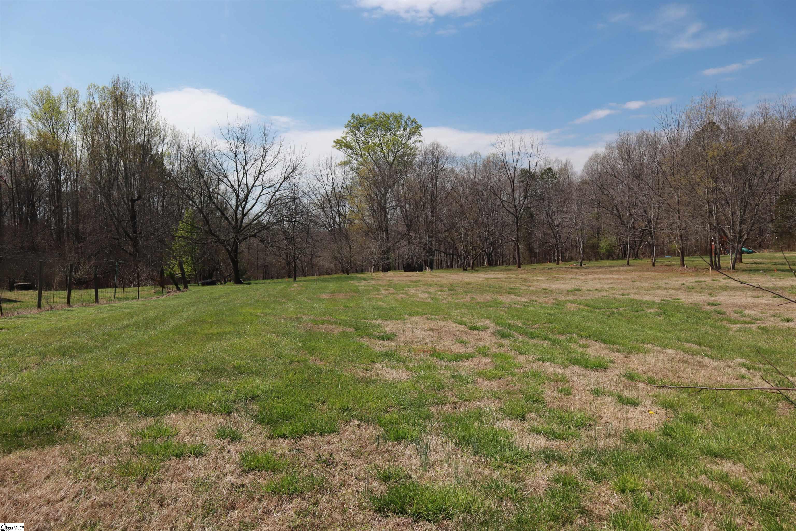 0 Nodine Road Campobello, SC 29322 - Photo 6 of 30