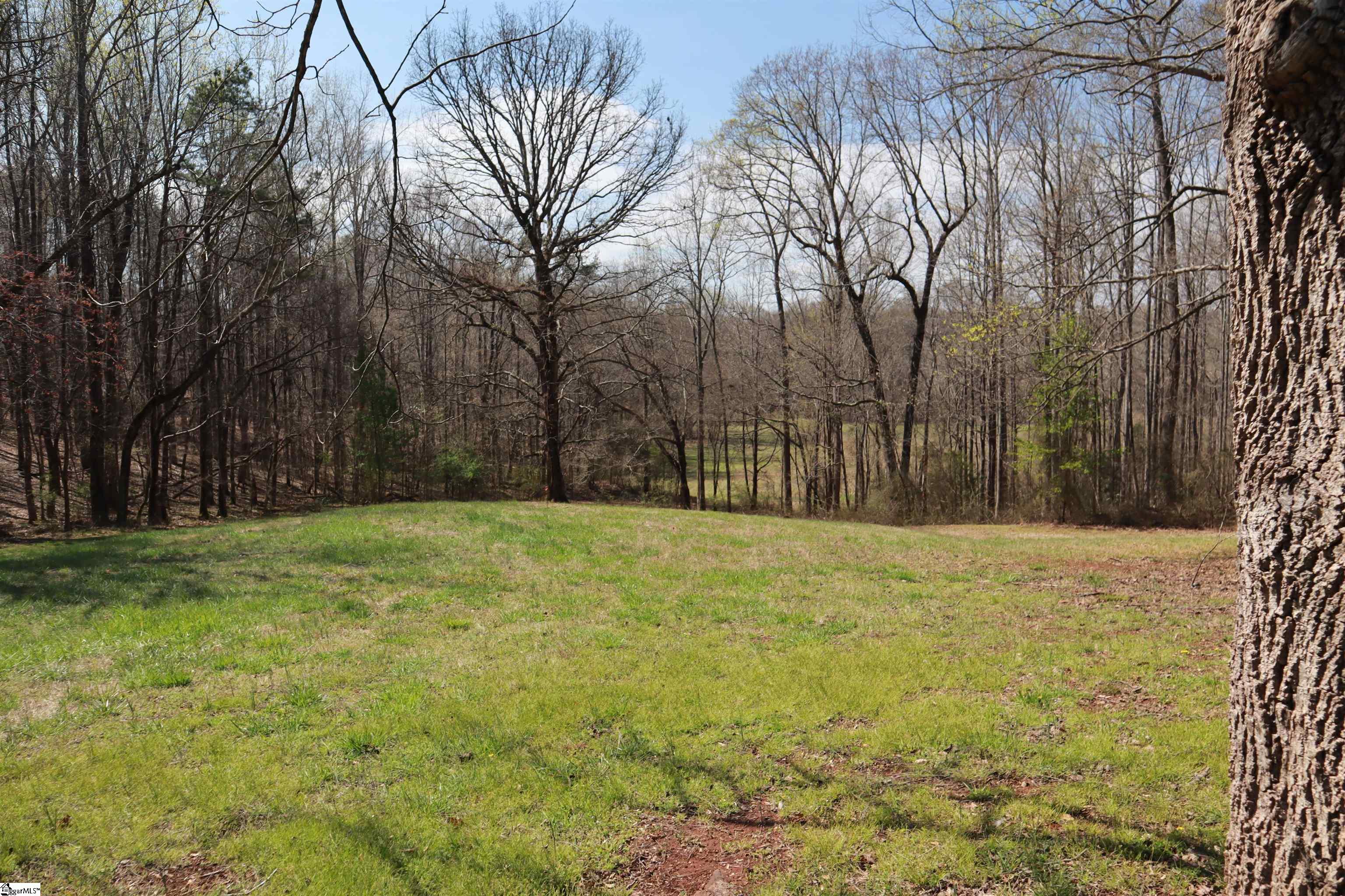 0 Nodine Road Campobello, SC 29322 - Photo 8 of 30