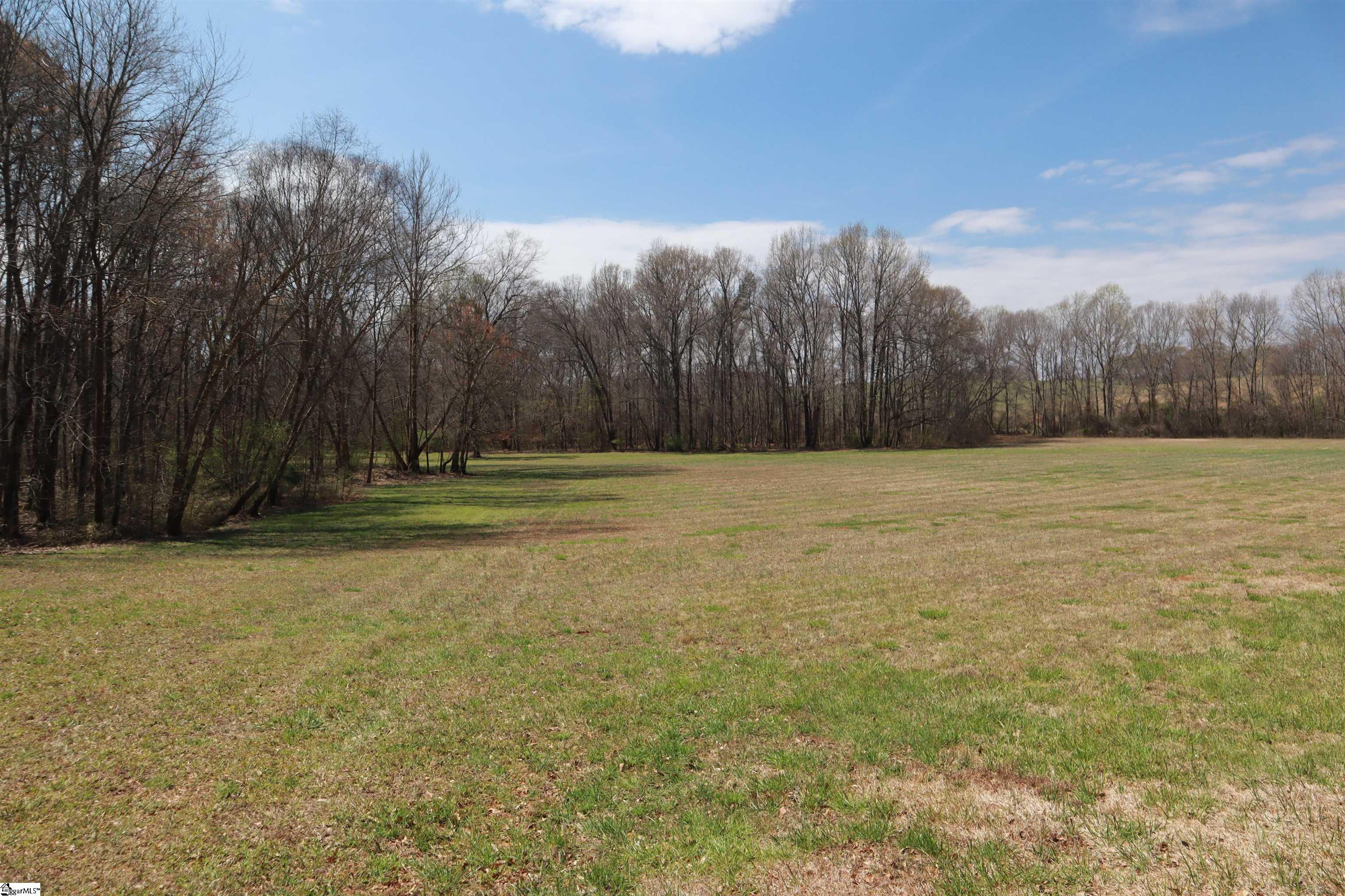 0 Nodine Road Campobello, SC 29322 - Photo 10 of 30