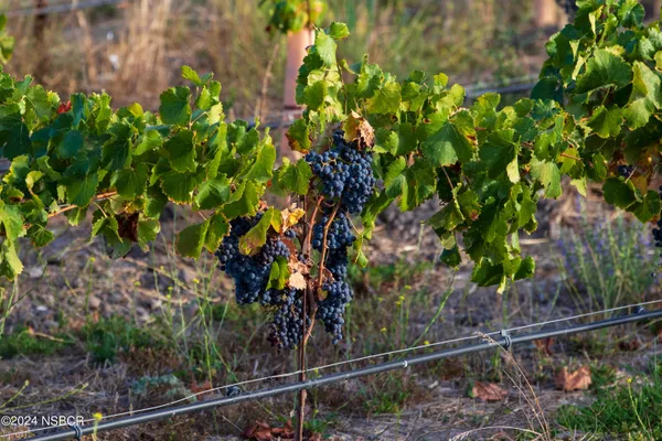 a view of a chairs and table in a patio