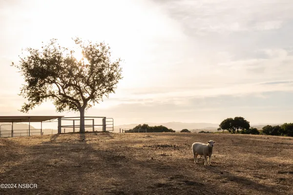 a view of a lake from a balcony