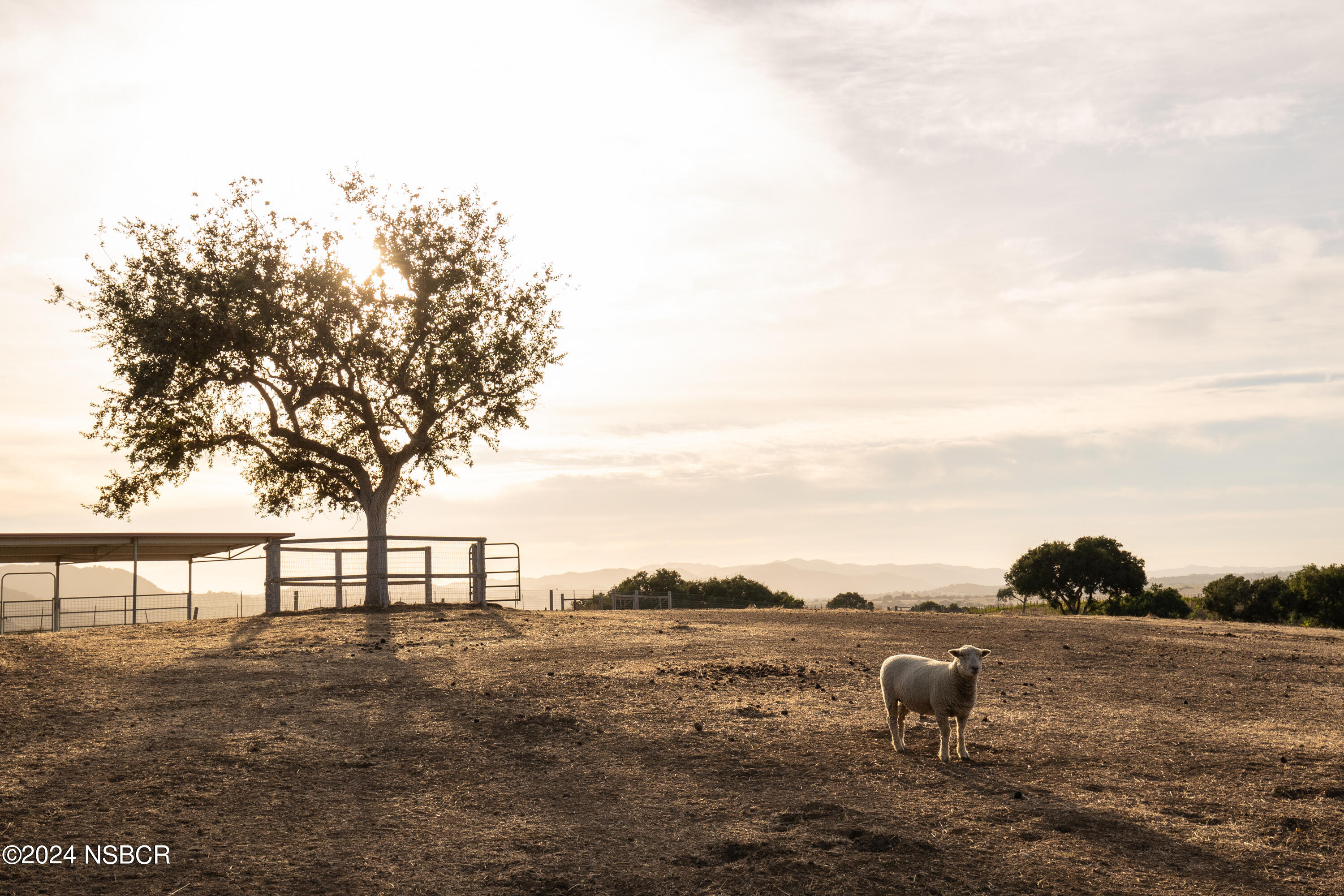Undisclosed Address Santa Ynez, CA 93460 - Photo 14 of 80 Coyote Hills Ranch & Vineyard