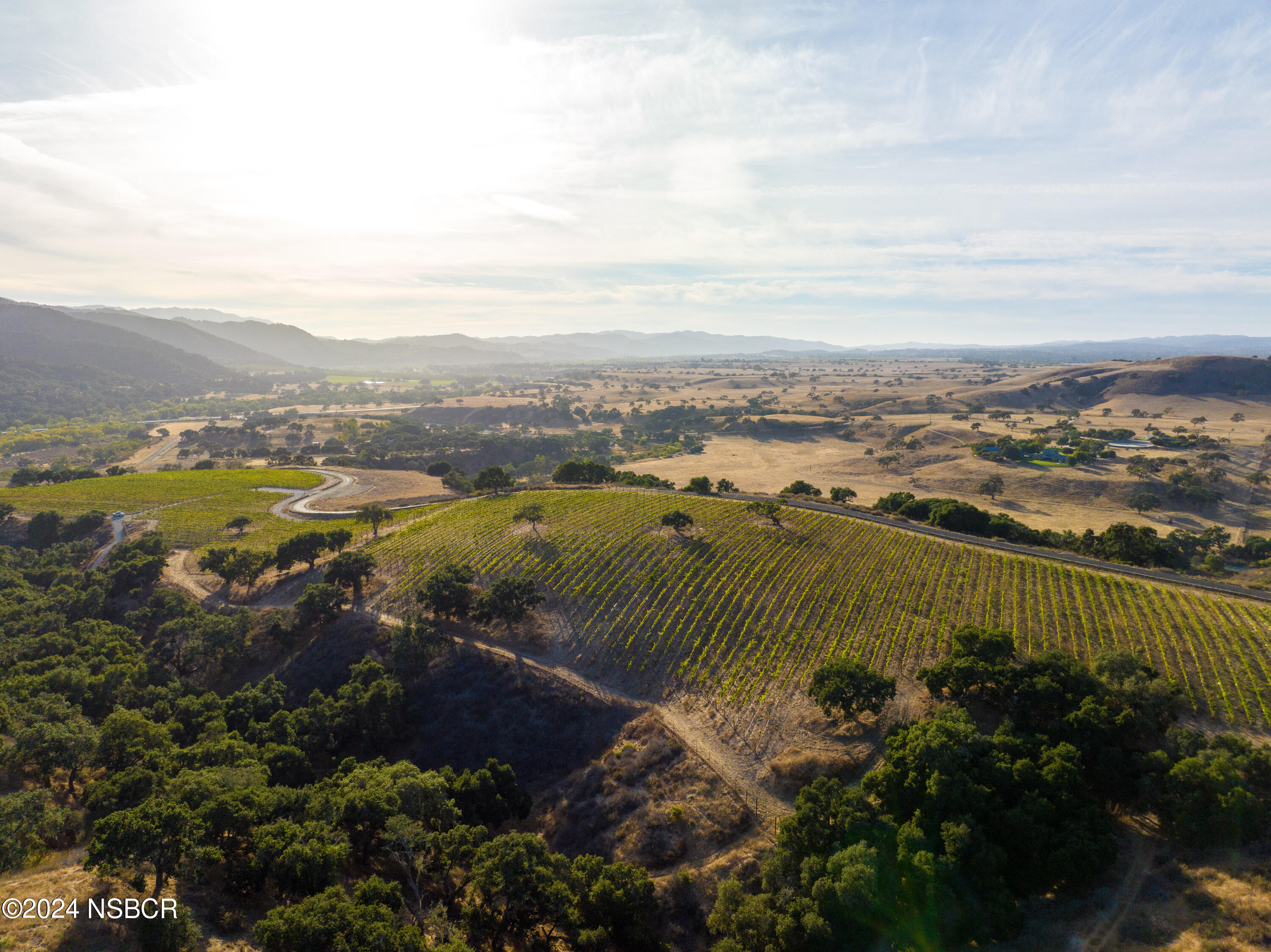 Undisclosed Address Santa Ynez, CA 93460 - Photo 18 of 80 Coyote Hills Ranch & Vineyard
