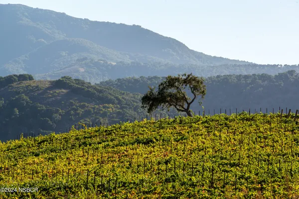 a view of a house with sitting area and furniture