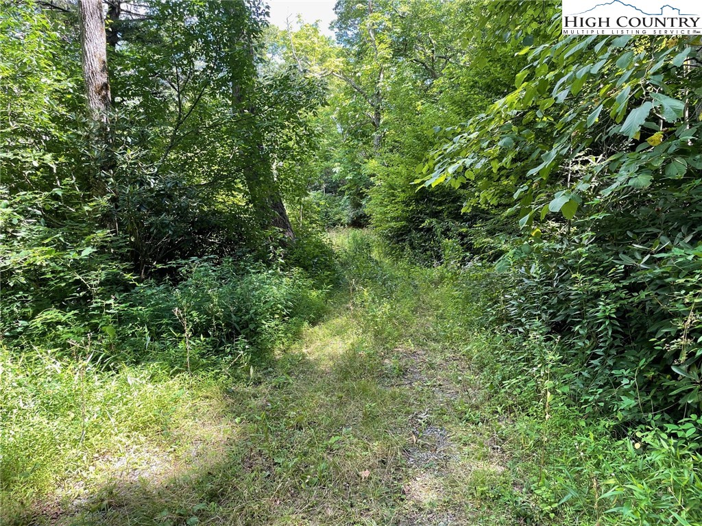 1 R Hemlock Ridge Blowing Rock, NC 28605 - Photo 1 of 21 Gallery Image 1