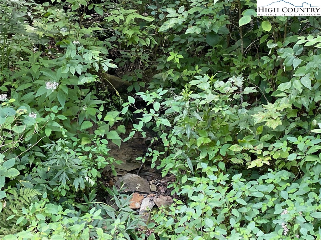 1 R Hemlock Ridge Blowing Rock, NC 28605 - Photo 11 of 21 Gallery Image 11