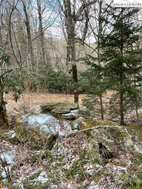 1 R Hemlock Ridge Blowing Rock, NC 28605 - Photo 15 of 21 Gallery Image 15