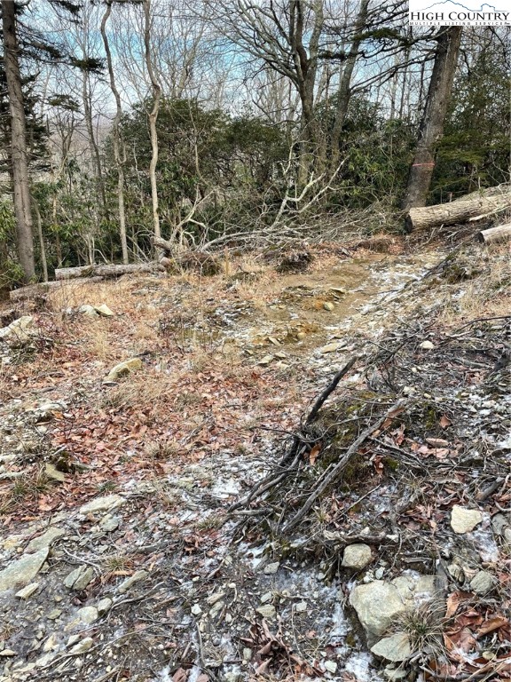 1 R Hemlock Ridge Blowing Rock, NC 28605 - Photo 18 of 21 Gallery Image 18