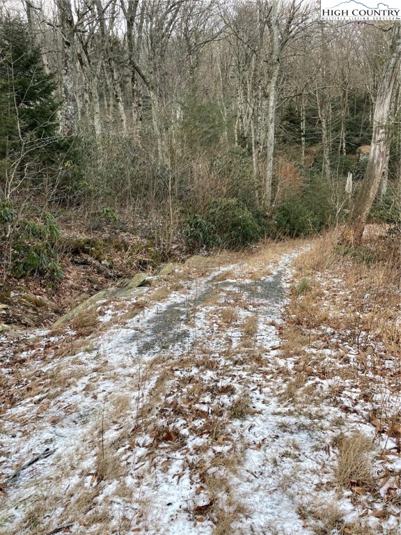 1 R Hemlock Ridge Blowing Rock, NC 28605 - Photo 19 of 21 Gallery Image 19