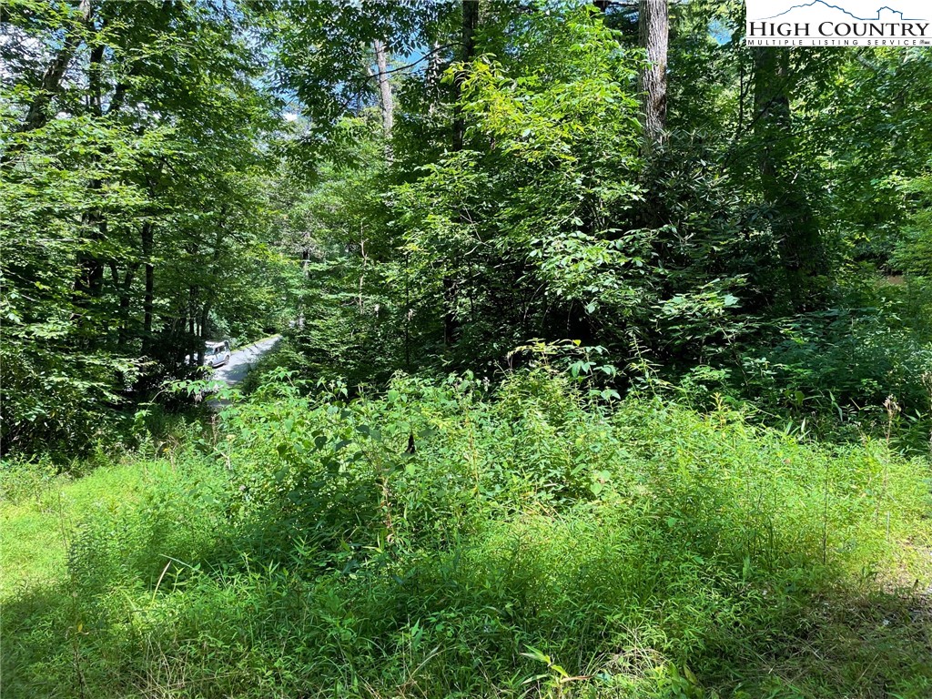 1 R Hemlock Ridge Blowing Rock, NC 28605 - Photo 3 of 21 Gallery Image 3