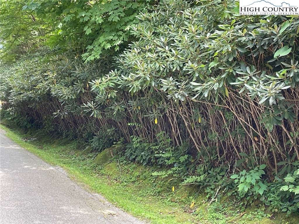 1 R Hemlock Ridge Blowing Rock, NC 28605 - Photo 4 of 21 Gallery Image 4