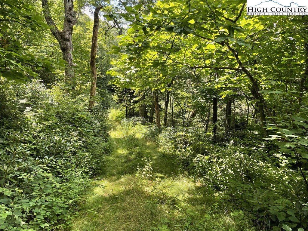 1 R Hemlock Ridge Blowing Rock, NC 28605 - Photo 6 of 21 Gallery Image 6