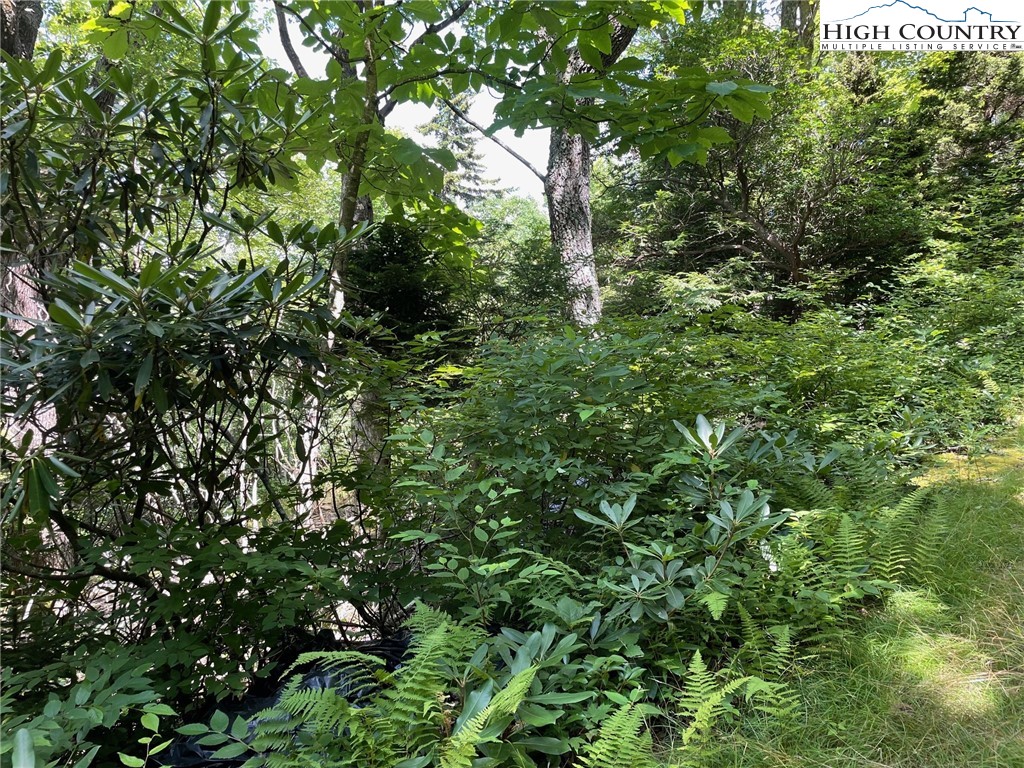 1 R Hemlock Ridge Blowing Rock, NC 28605 - Photo 7 of 21 Gallery Image 7