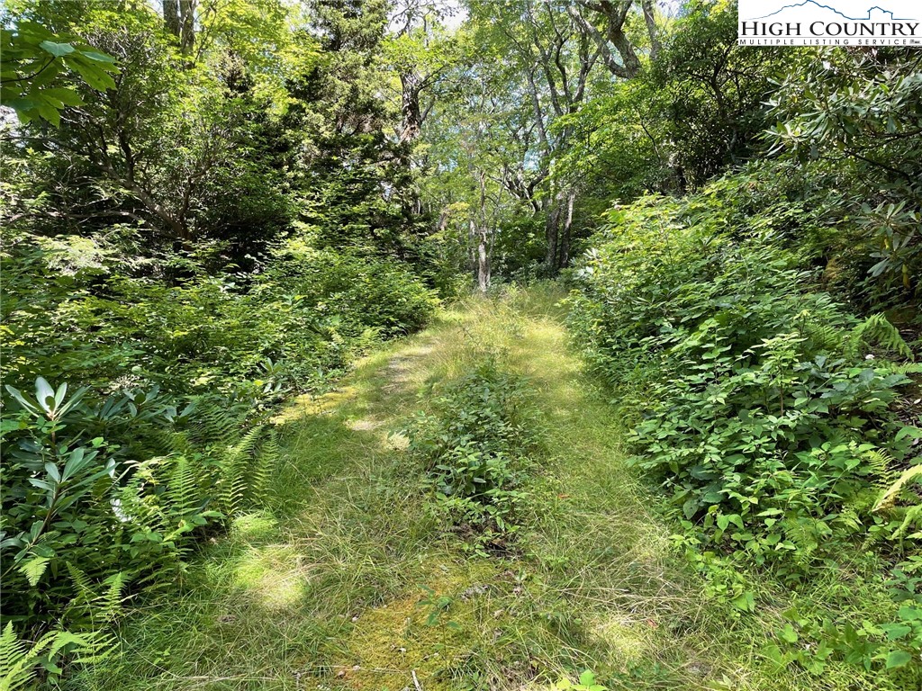 1 R Hemlock Ridge Blowing Rock, NC 28605 - Photo 8 of 21 Gallery Image 8