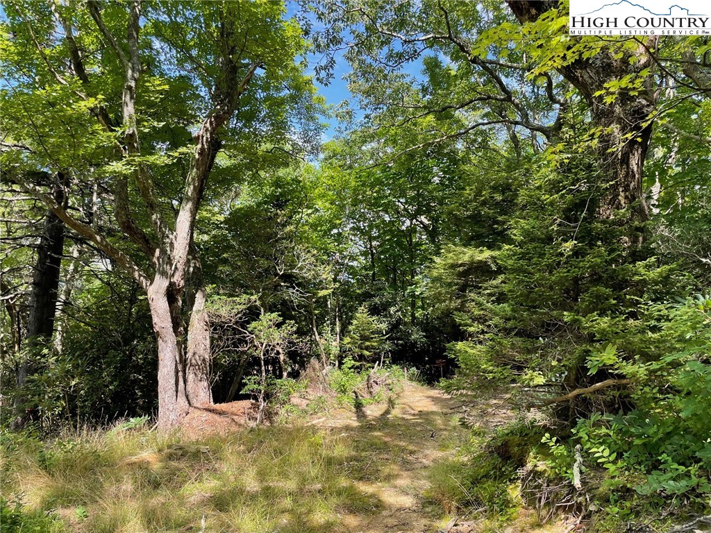 1 R Hemlock Ridge Blowing Rock, NC 28605 - Photo 10 of 21 Gallery Image 10